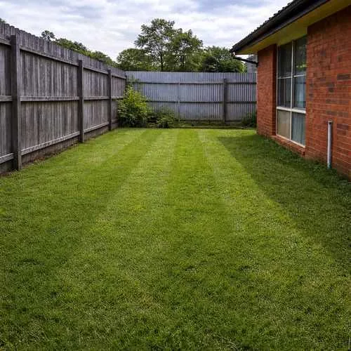 After lawn mowing