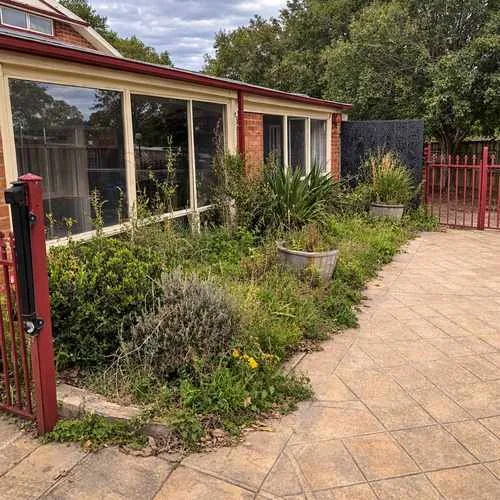 Before garden maintenance