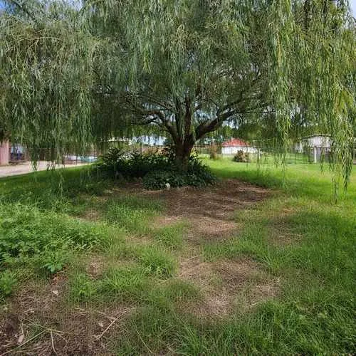 Before garden transformation