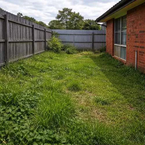 Before lawn mowing